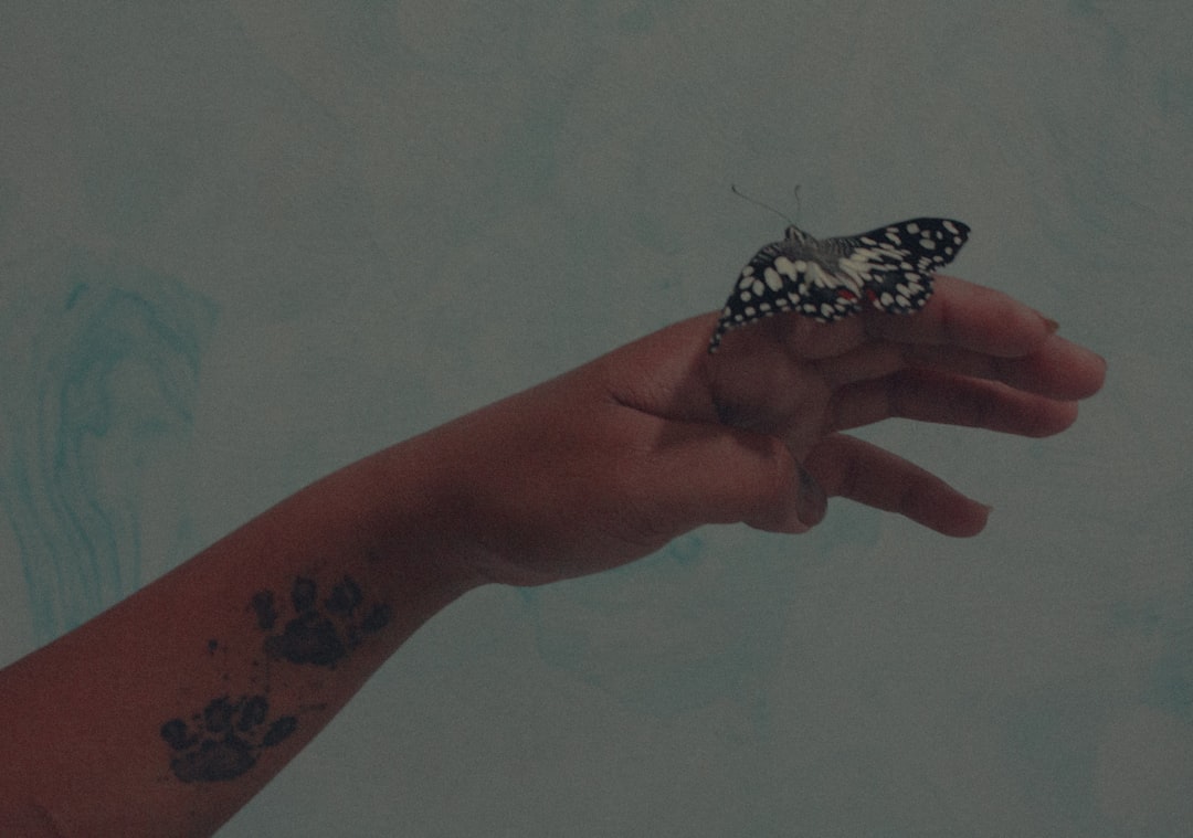 a hand holding a butterfly with a paw on it