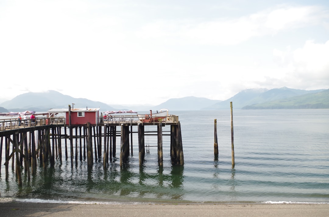 brown wooden beach dock on sea
